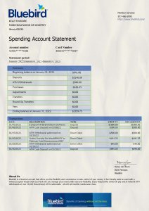 BlueBird Bank Statement PSD Template