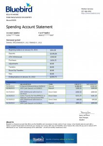 BlueBird Bank Statement PSD Template