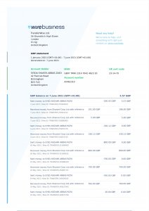 Wise Business Bank Statement PSD Template