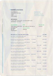 Wise Business Bank Statement PSD Template